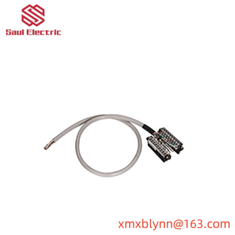 Delta Electronics 1492-CABLE050TBCH Industrial Control Cable