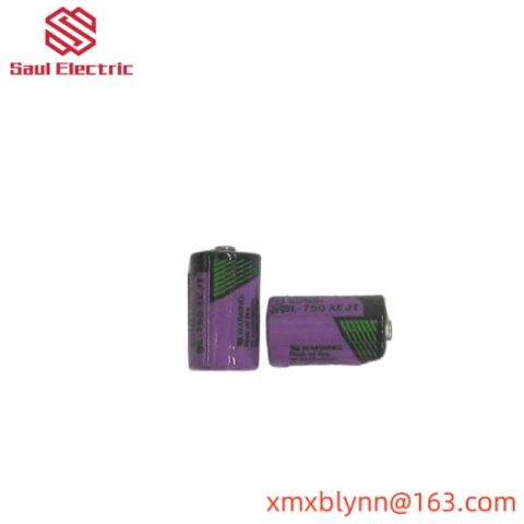 ABB SB808F 3BDM000199R1: RAM Buffering Battery, Dual Pack