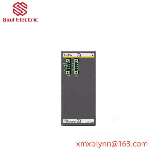 Bachmann AI204/2 Analog Input Module: High Precision 2-Channel Input, 16-bit Resolution
