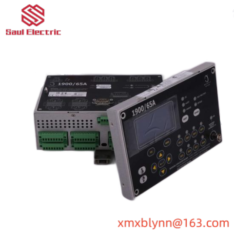 Bently Nevada 1900/65A-01-02-01-00-00: Advanced General Purpose Equipment Monitor