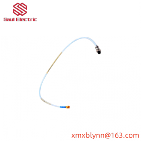 Bently Nevada 31000-16-10-00-119-03-02 Control System Module