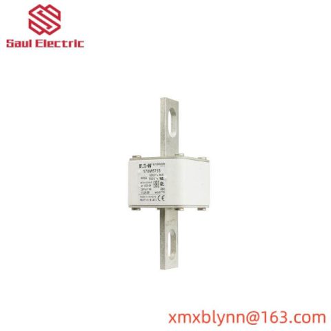 BUSSMANN FWC-32A10F Fast-Acting Fuses for Industrial Protection