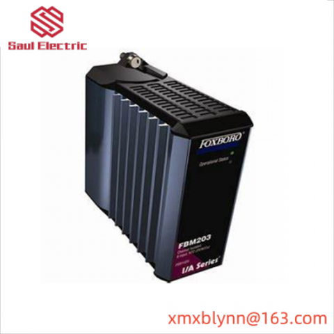 FOXOBORO FBM203 AD916AE DCS Module