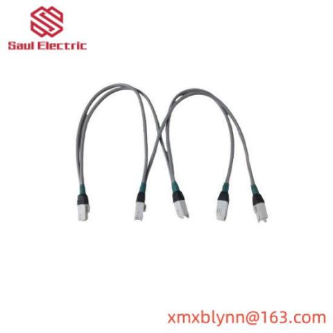 Honeywell 4DP3AAXECU1 - Advanced Automation Module