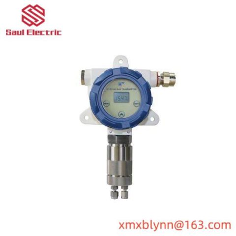 HT-FX100 Gas Transmitter - Advanced Measurement Solution