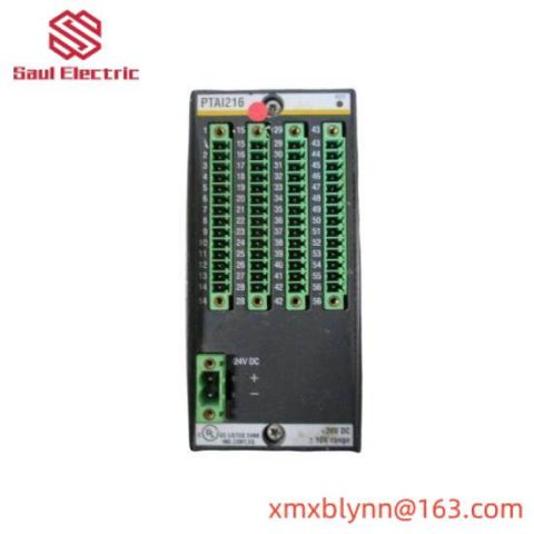 Bachmann PAAI216 Analog Modules, Precision Industrial Control Solutions