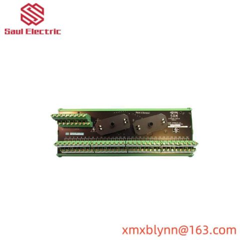 SIEMENS 16169-1-07 Analog Input Module