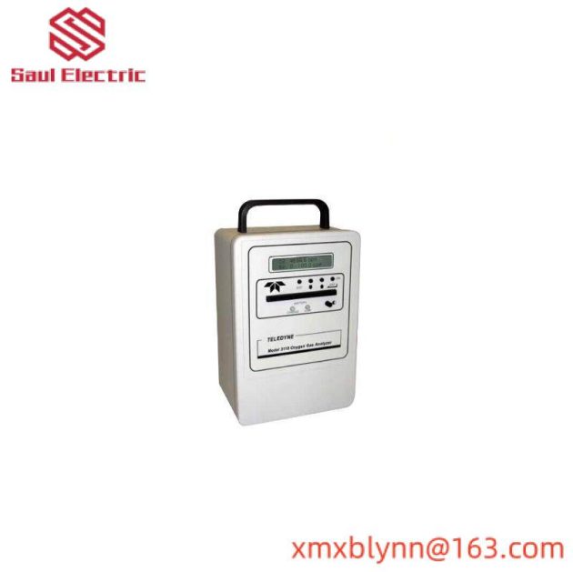 TELEDYNE 3110 Portable Oxygen Analyzers, Professional Grade for Safety and Compliance