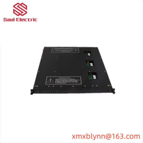 TRICONEX 9561-810 High Reliability Industrial Control Module