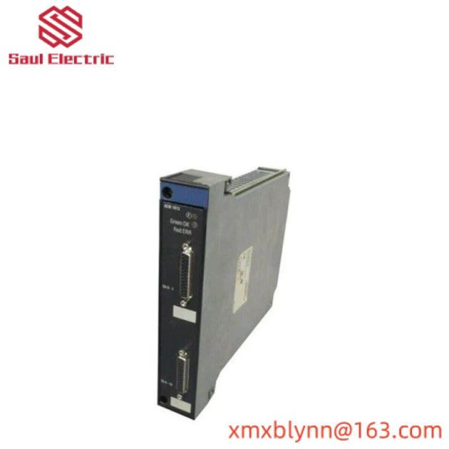 Schneider TSXAEM1613: Advanced Input Module for Precision Control Systems