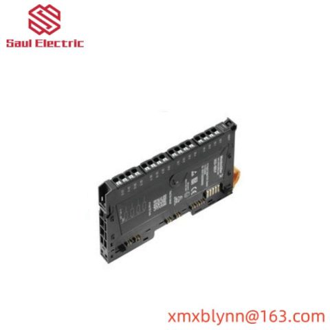 Weidmuller RM-16DO: Remote I/O Module for Industrial Automation, Model Specific, Control Module