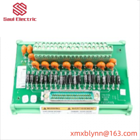 WOODWARD 5466-318 Micronet Timer Plus Kernel PS Module