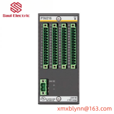 Bachmann PTAI216 Temperature Input Module