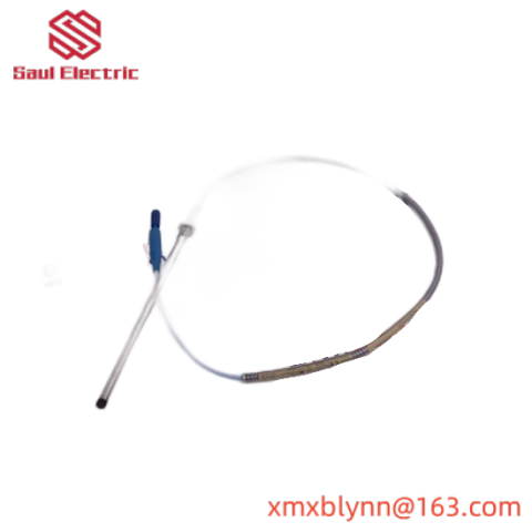 Bently Nevada 330106 Series, Module:145628-01