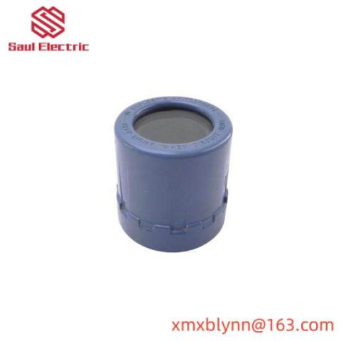 Rosemount 01151-0389-0001 REV. A | Explosion Proof Cover