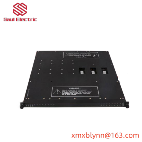 Triconex Terminal Panel for 2652-5 7400058-350: Industrial Control System Module
