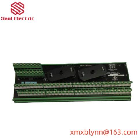 Moore 16169-1-07 SAM Standard Analog Module: Precision Control at Your Fingertips