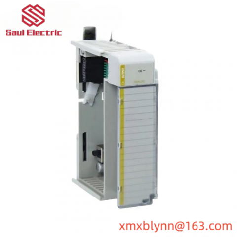 Rockwell Automation 1769-OF2 Programmable Logic Controller (PLC)