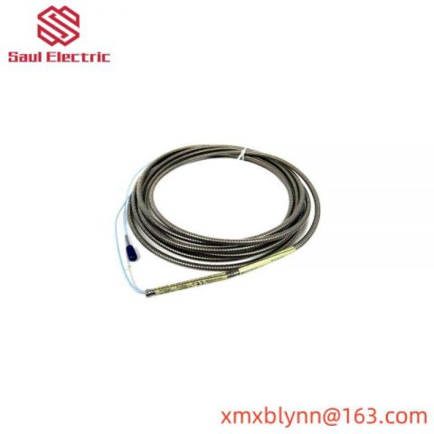 Bently Nevada 330930-065-00-CN: Advanced 3300 NSv Extension Cable