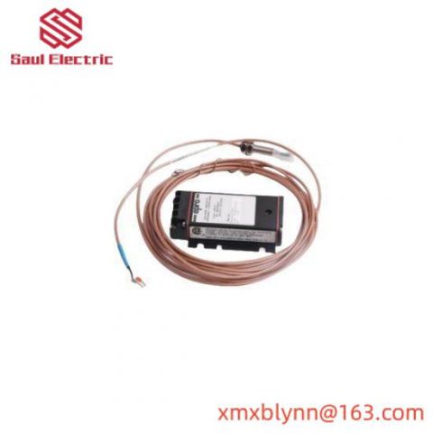 Emerson SE4002S1T2B1 Industrial Control Module