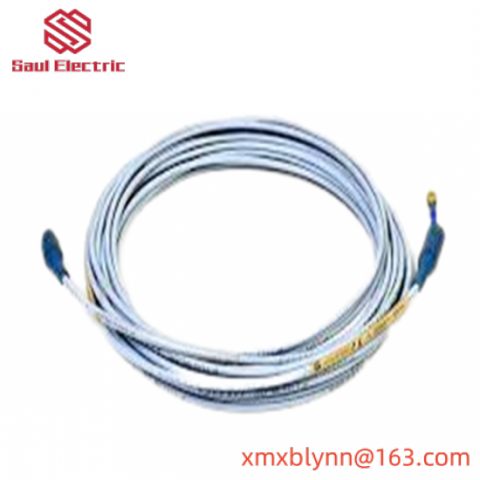 BENTLY NEVADA 22811-01-06-10-02 Acceleration Transducer